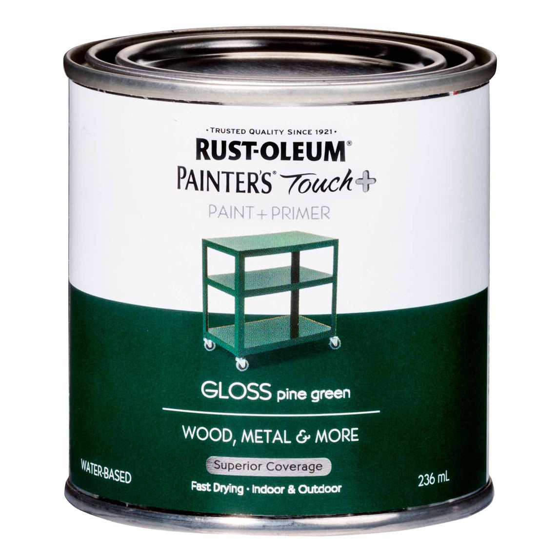 Painters Touch Plus Paint