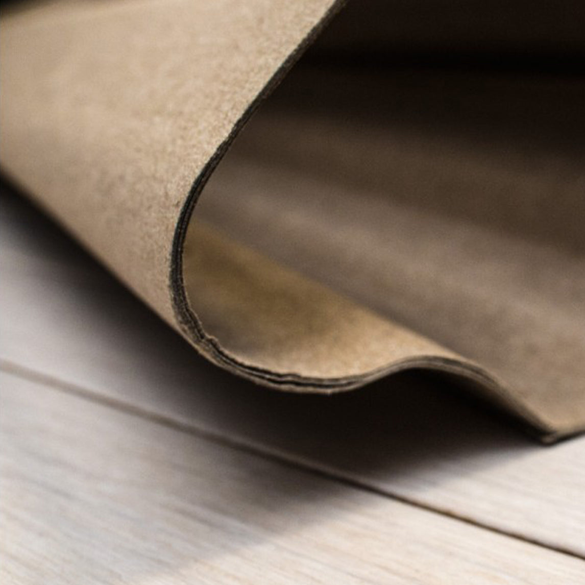 Entry Shield - Haydn